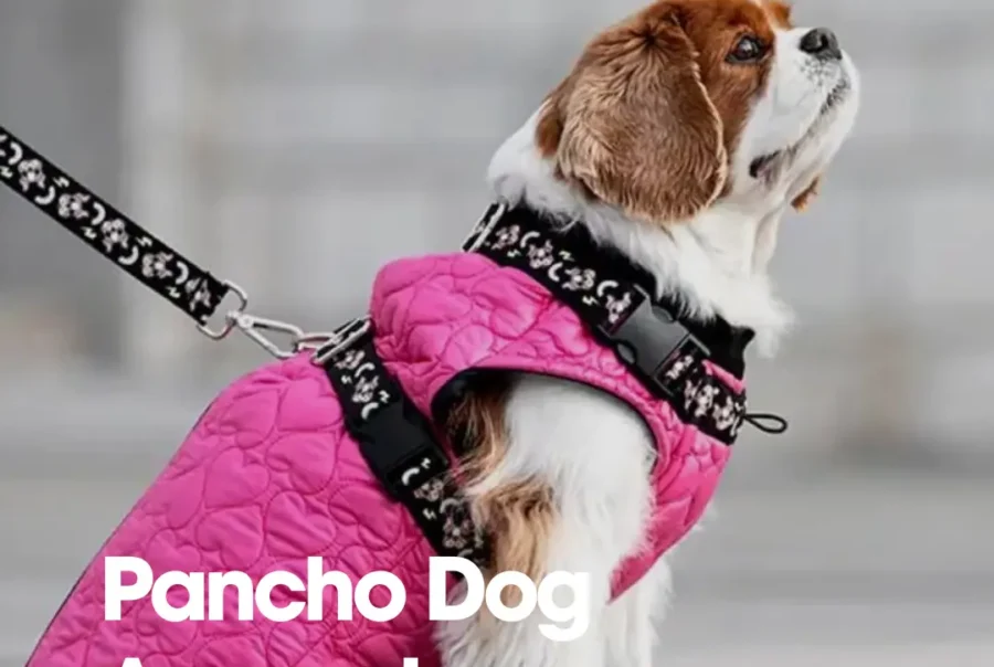Pancho Dog Apparel
